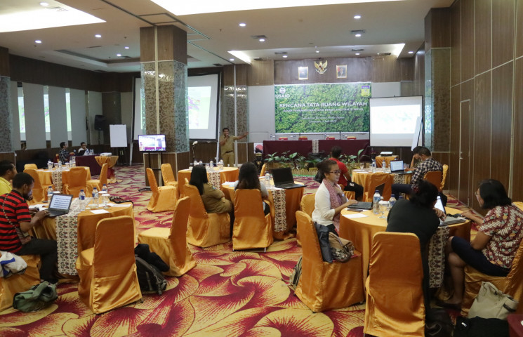 Program Rendah Karbon Diharapkan Beri Keuntungan Finansial Bagi Papua